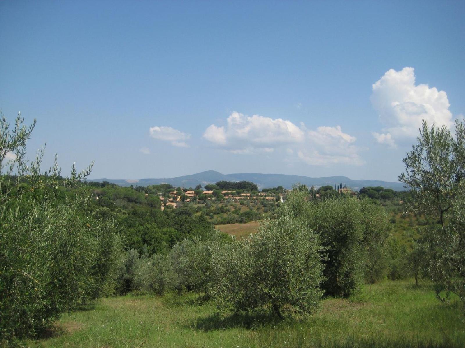 Il Borgo Centro Vacanze Guardistallo Exteriör bild
