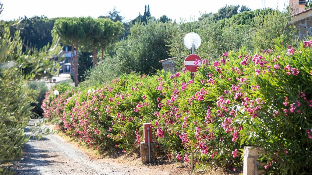 Il Borgo Centro Vacanze Guardistallo Exteriör bild