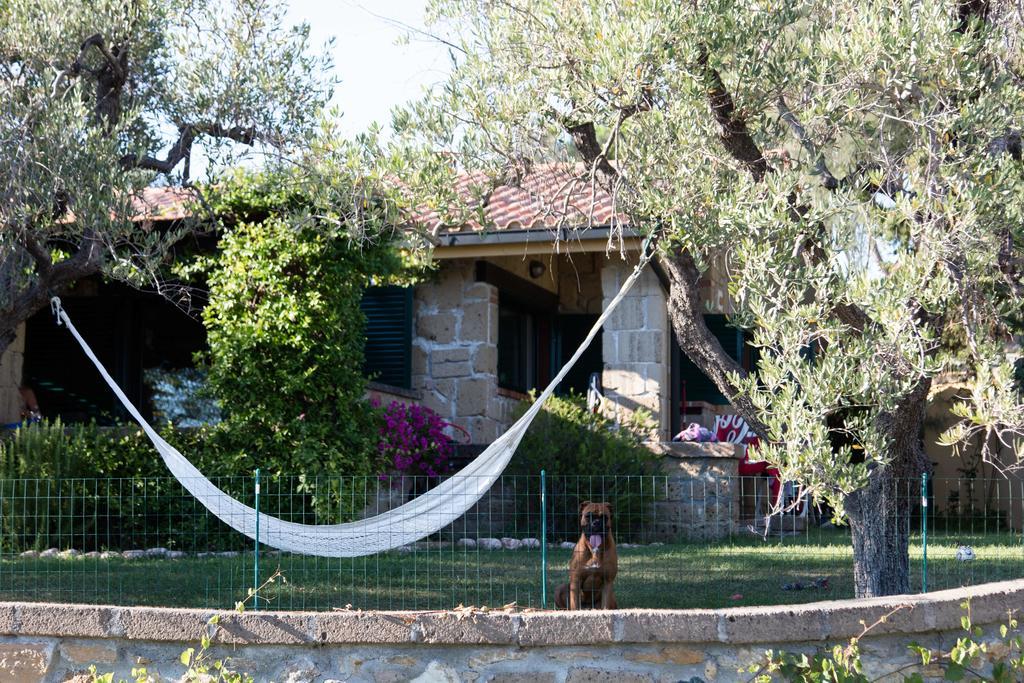Il Borgo Centro Vacanze Guardistallo Exteriör bild